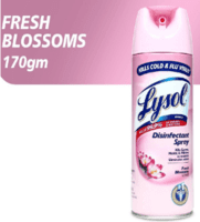 Lysol Spray 170G